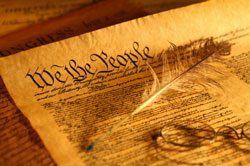 Florida Constitution We the People